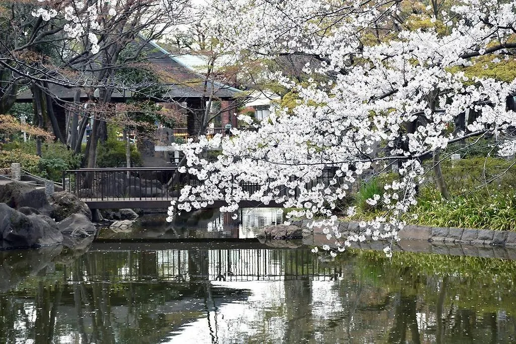 Best Value Stay, Immerse In Local Culture, Prime Location & Fast Wifi Tokyo Japan